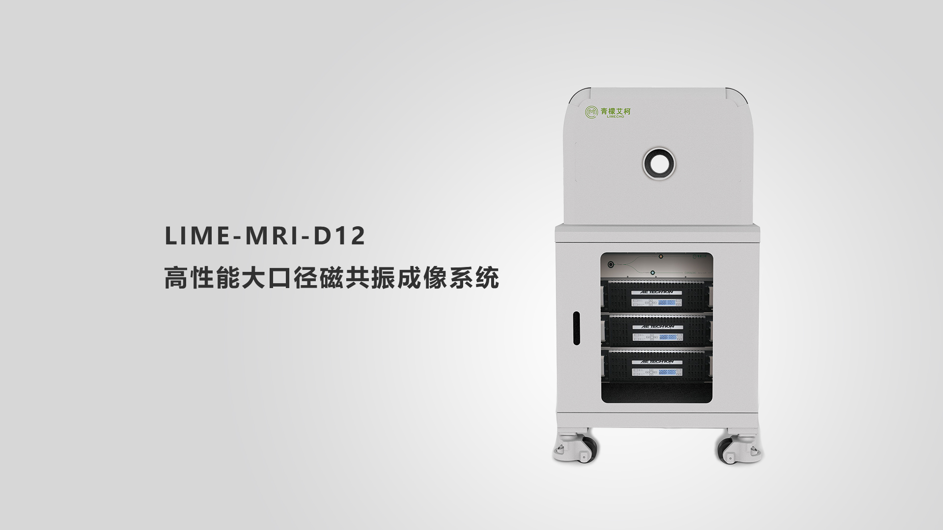LIME - MRI-D12