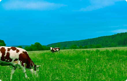 Agriculture